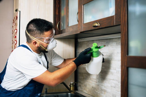 Best Affordable Pest Control Services  in Lytle, TX