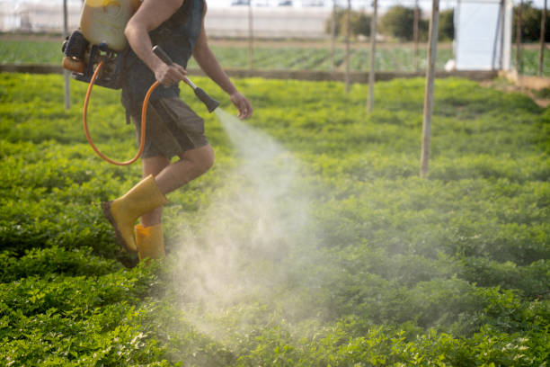 Best Pest Control Near Me  in Lytle, TX
