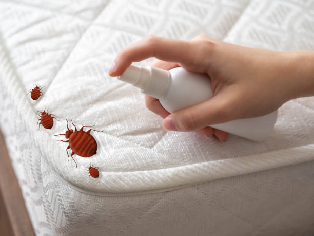 Best Residential Pest Control  in Lytle, TX