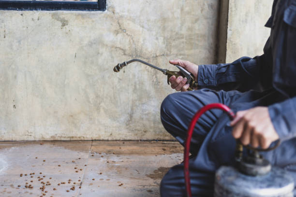 Best Pest Removal Services  in Lytle, TX